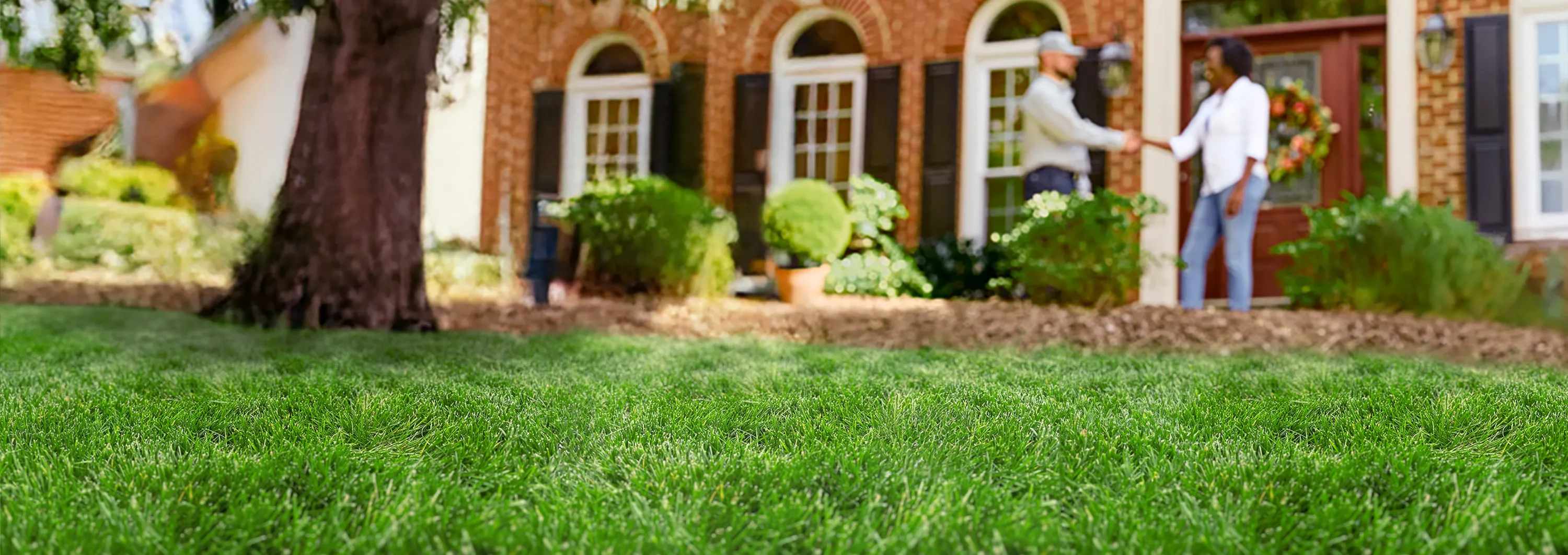 Safer Lawn Care Naturally<sup>™</sup>